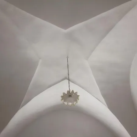 Domus Donata *
