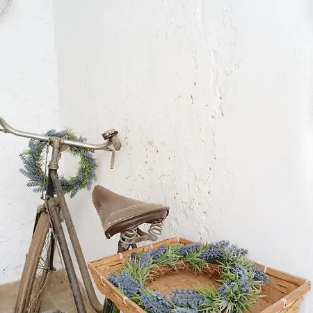 Vakantiehuis Domus Donata *